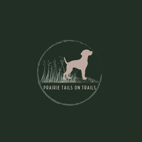 Private Dog Walk - 30 minutes