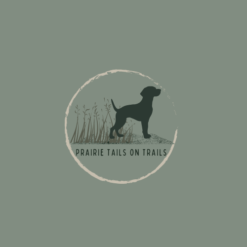 Private Dog Walk - 60 minutes